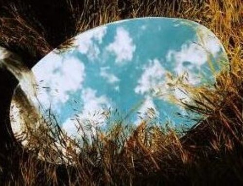 Flipping the Script on the Inner Critic